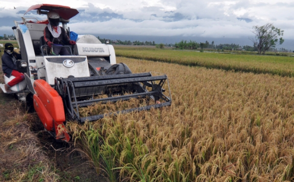 Tingkatkan Produksi, Pemerintah Dorong Petani Beralih ke Teknologi Pertanian Modern