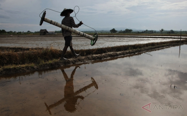 Melihat Aktivitas Petani Konawe Selatan pada Musim Tanam Padi Pertama di 2018