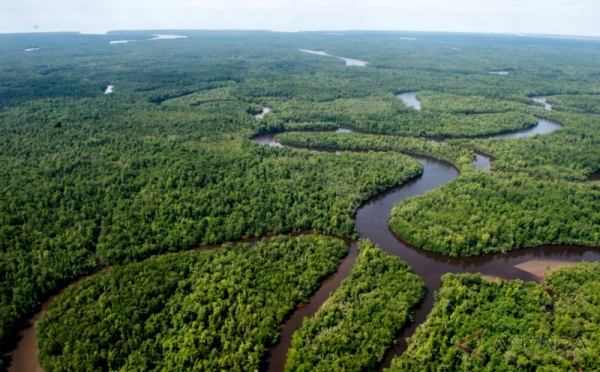 Indahnya Sungai Berkelok yang Membelah Hutan di Kabupaten Mimika Papua