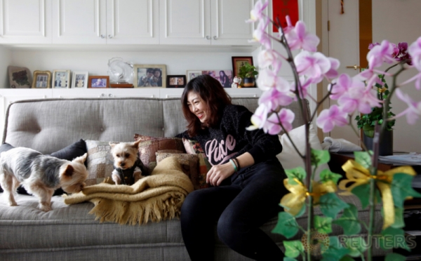 Zoe Man Salah Satu Anjing yang Diperbolehkan Menaiki Pesawat