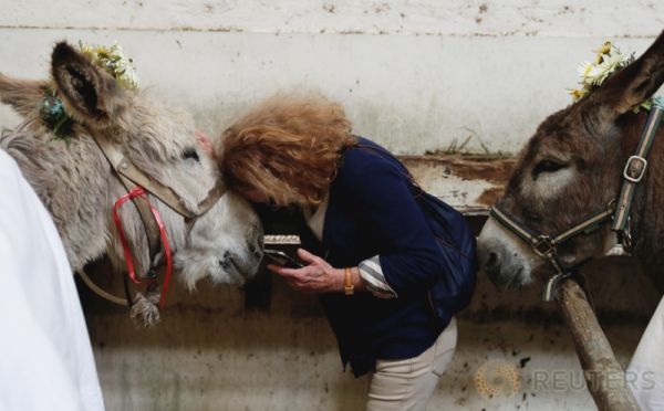 Keseruan Wanita-Wanita Saat Menunggangi Keledai di Portugal