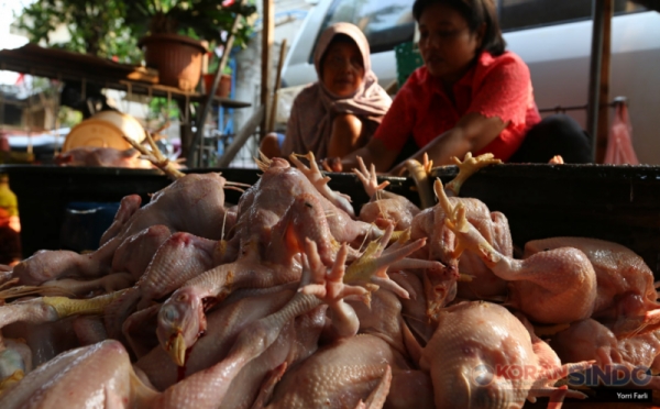 Kemendag Ubah Aturan Harga Acuan Ayam dan Telur